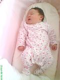 Remiphonepicturesvideos145.jpg little lily, xxx image by Usernameeinit