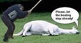 deadhorse.jpg dead horse beating image by agtBobPhillips