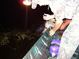 015.jpg image by duckdog08