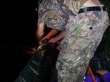 018.jpg image by duckdog08