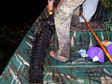 019.jpg image by duckdog08