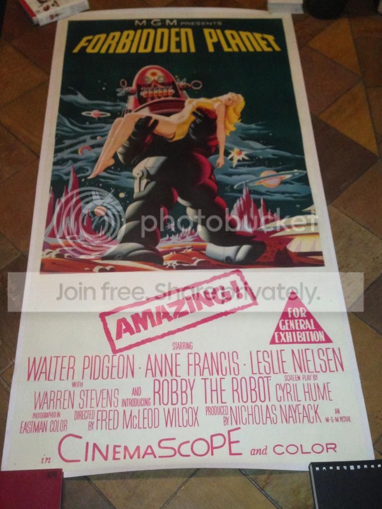 photo birdics579_zps151a481b.jpg