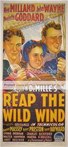 photo reapthewildwind.jpg