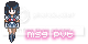 PM