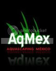  photo AqMex.jpg