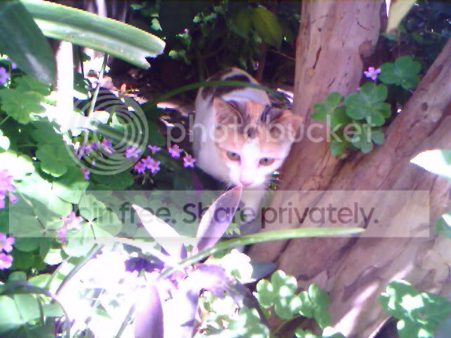 IMAGE_026.jpg