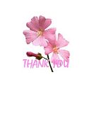 PinkThanks.jpg Thank You image by MummaRock