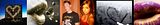 8888-horz-1.jpg :) image by farfallina1990