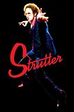 STRUTTERnetCOVER.jpg image by AdrienLoul
