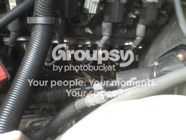 DSC00011-2.jpg