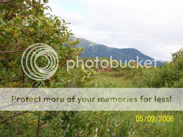 Need housing ideas for remote location - Homesteading Questions