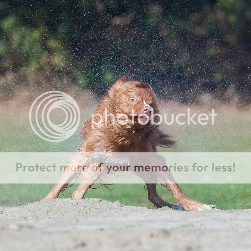 Fotografie