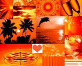 orange.jpg orange collage image by thumbelina328
