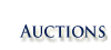 Visit My Auctions!