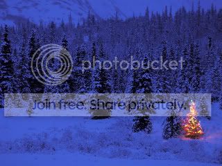 blue tree Pictures, Images and Photos
