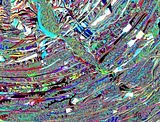 theundergroundlayer.jpg image by bosart