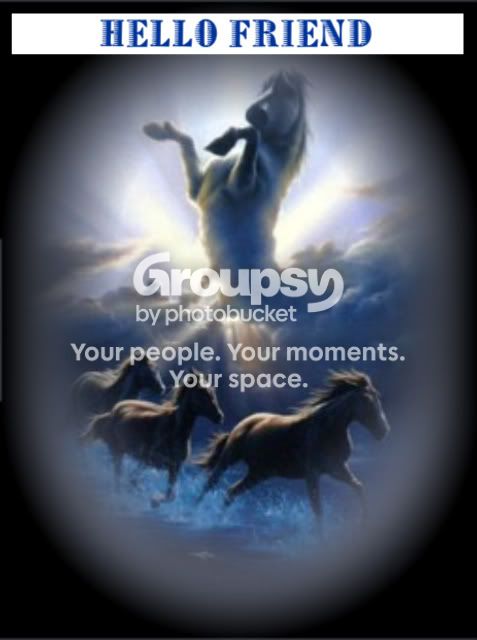 HELLO_FRIEND_HORSES.jpg Pictures, Images and Photos