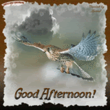 thsoarzgdaft.gif th_soarzgdaft.gif picture by regine48