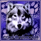 thwolfpawgdaft.gif th_wolfpawgdaft.gif picture by regine48