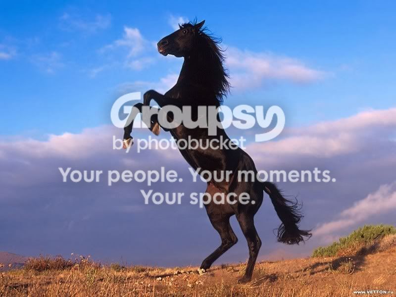 Animals_Horses__001981_7pretty.jpg