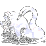 th11j3y11.gif th_11j3y11.gif image by regine48