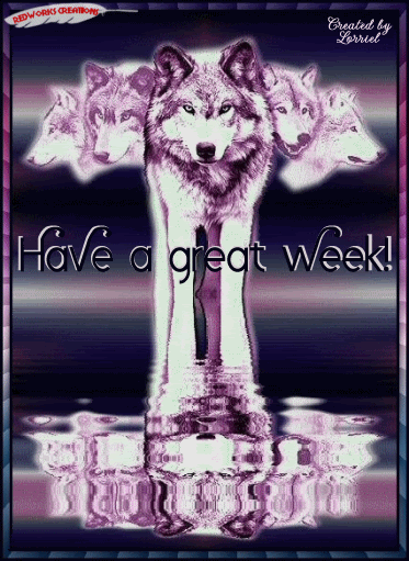 wolfpackgwmw2.gif Pictures, Images and Photos