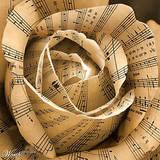 thmusicrose.jpg th_musicrose.jpg image by regine48