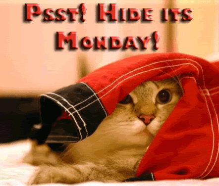 Monday