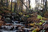 Autumn_Forest_Slow_Waterfalls_by_Ne.jpg image by bluewolf71