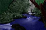 Forest.jpg image by bluewolf71