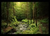 Loki__s_Forest_by_lucias_tears.jpg image by bluewolf71