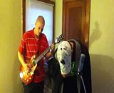 Picture300.mp4 video by hillrobert77
