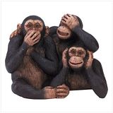 3MACACOS.jpg image by labate99