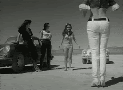 pussycatfaster.gif image by labate99