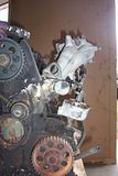 100_6373.jpg image by mustanglady89