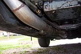 100_6397.jpg image by mustanglady89