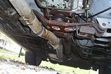 100_6398.jpg image by mustanglady89