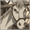  photo yuuki.gif
