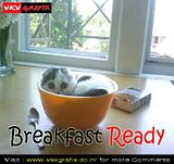 Breakfast Comments