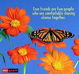 Frienship Quotes Comments
