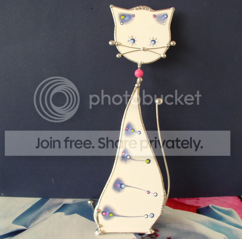 HS Tall Cat White Pictures, Images and Photos