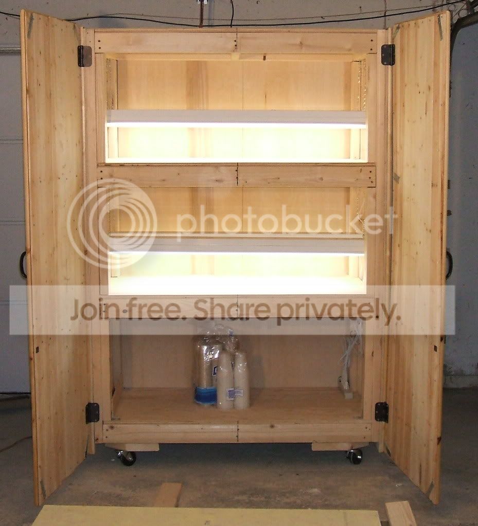lights.jpg