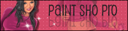 *Paint Sho Pro*