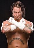 cmpunk1.jpg CM Punk image by Nkejraw123