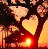 LOVETREE.jpg LOVETREE image by a2_2005
