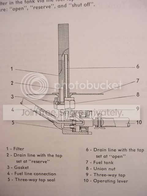 358453.jpg
