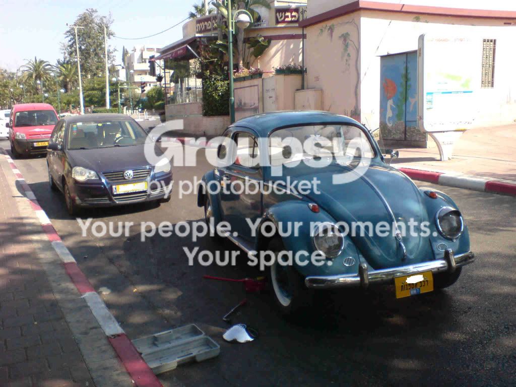 DSC00015-no.jpg