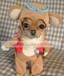 Halloween Dog