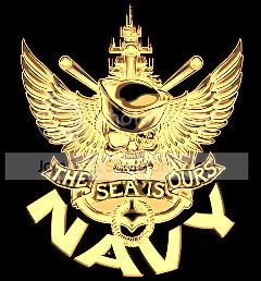 Navy-1.jpg
