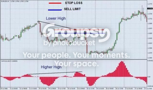 HDBEARTRADE.jpg